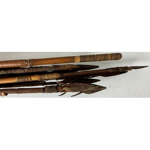 355 - AN ANIMAL HIDE QUIVER OF CYLINDRICAL FORM CONTAINING STEEL TIPPED BAMBOO ARROWS