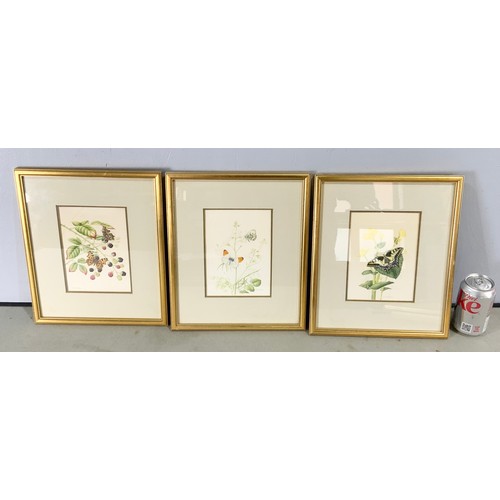 35 - QUANTITY OF DAVID BUCKLE (FORMER ROYAL WORCESTER PORCELAIN ARTIST) WATERCOLOURS DEPICTING BIRDS , BU... 