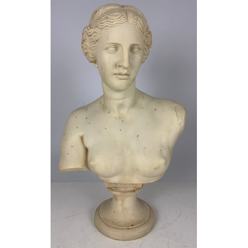 125 - BUST OF A CLASSICAL LADY WITH PEGASUS FACTORY STAMP 52cm TALL