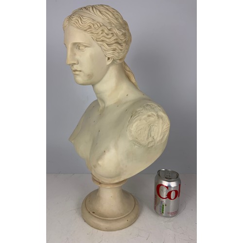 125 - BUST OF A CLASSICAL LADY WITH PEGASUS FACTORY STAMP 52cm TALL