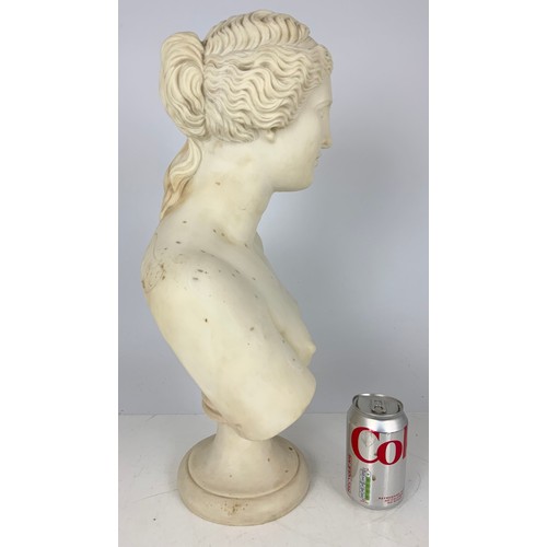 125 - BUST OF A CLASSICAL LADY WITH PEGASUS FACTORY STAMP 52cm TALL