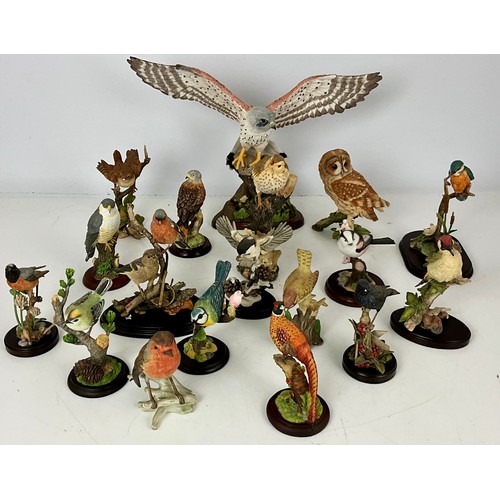 159 - COLLECTION OF COUNTRY ARTISTS AND SIMILAR RESIN BIRDS OF PREY AND GARDEN BIRD STUDIES