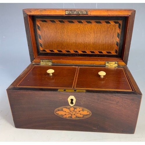 396 - GOOD QUALITY INLAID MAHOGANY FITTED TEA CADDY WIDTH 24cm