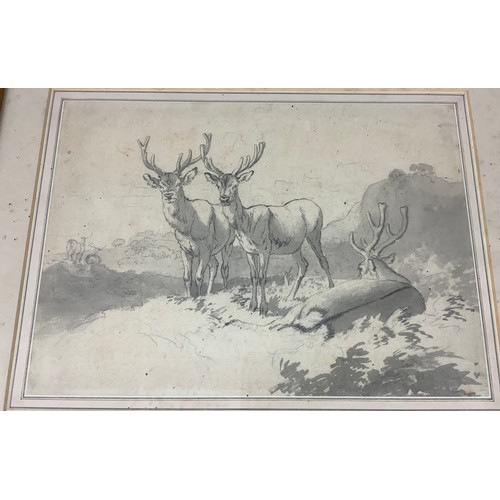 32 - ROBERT HILLS OWS (1769-1844), GREY WATERCOLOUR WASH AND PENCIL, DEPICTING DEER, approx. 34 x 24.5 cm