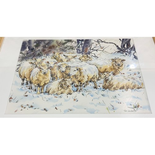 39 - 3 TIA LAMBERT WATERCOLOUR & PEN PAINTINGS  TITLED SHEEP IN THE SNOW, MOTHERS MEETING, & EWE & LAMB