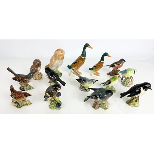 117 - QUANTITY OF BESWICK BIRD MODELS INC GARDEN BIRDS, OWLS & DUCKS