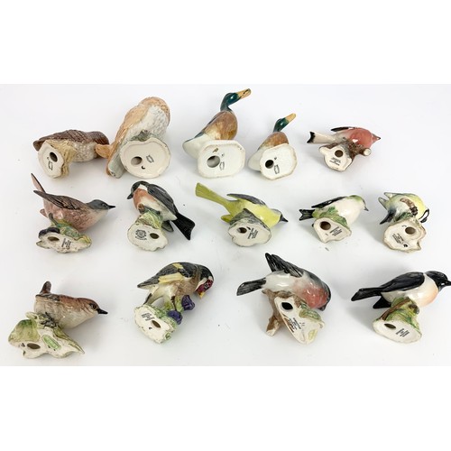 117 - QUANTITY OF BESWICK BIRD MODELS INC GARDEN BIRDS, OWLS & DUCKS