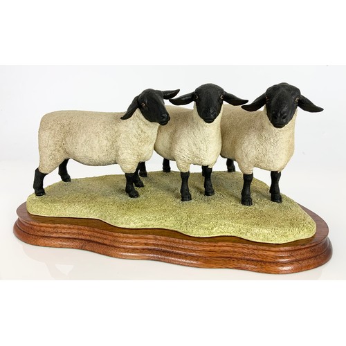 121 - 3 BORDER FINE ART SHEEP MODELS INC  SUFFOLK FAMILY GROUP B0197, TEXEL RAM B0530 & AUTUMN HAY B0419