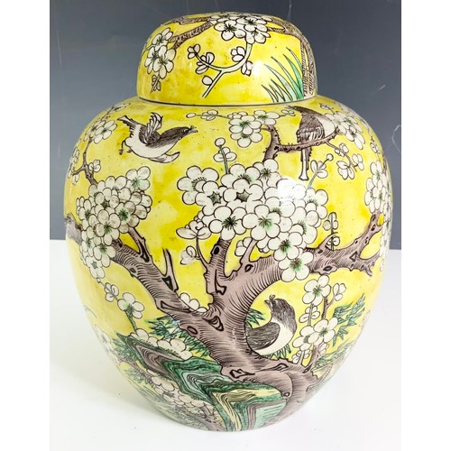 56 - ORIENTAL YELLOW GROUND GINGER JAR AND COVER WITH PRUNUS BLOSSOM AND BIRD DECORATION, 6 CHARACTER MAR... 