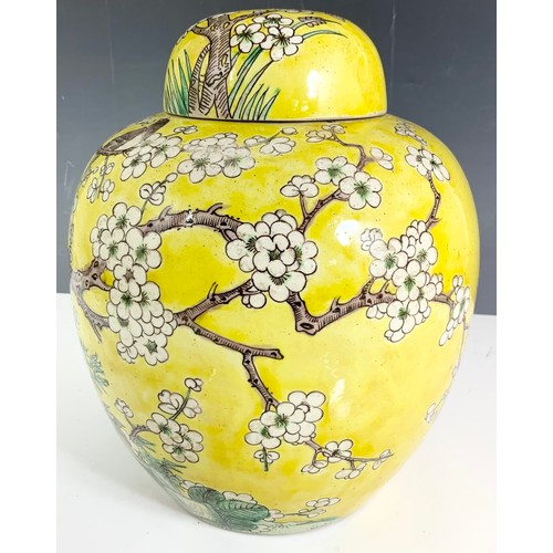 56 - ORIENTAL YELLOW GROUND GINGER JAR AND COVER WITH PRUNUS BLOSSOM AND BIRD DECORATION, 6 CHARACTER MAR... 