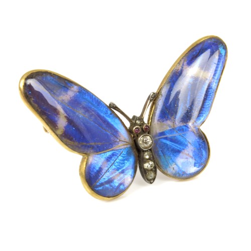 628 - BUTTERFLY WING BROOCH IN THE MANNER OF ERNST PALTSCHO (1858-1929) STAMPED 15, WINGS MADE WITH REAL B... 