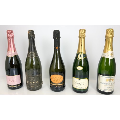 80 - 10 VARIOUS BOTTLES SPARKLING WINE/ CAVA