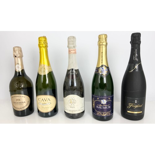 80 - 10 VARIOUS BOTTLES SPARKLING WINE/ CAVA