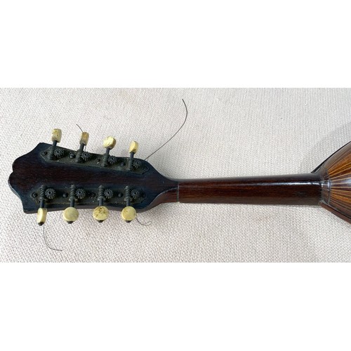 236 - BOWL BACK MANDOLIN  STAMPED  M & G CASELLA CATANIA