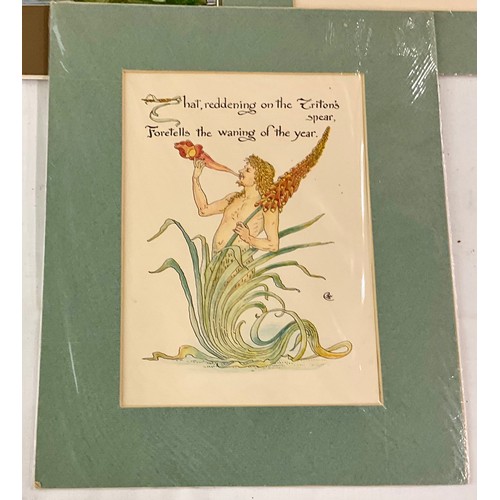 40 - ORIGINAL WALTER CRANE PRINTS AND EDWARD J CHERRY AND ARTHUR L CHERRY ETCHINGS