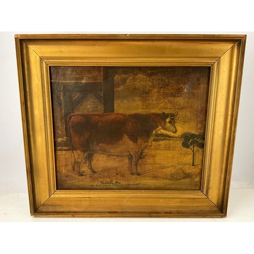 Lot 18        