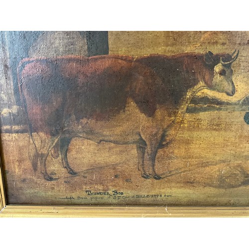 18 - PRIMITIVE CATTLE PAINTING ‘THUNDER BOB A REMARKABLE BULL’ ON CANVAS  46cm x 39cm  IN GILT FRAME