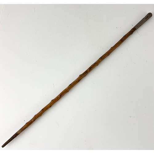 Lot 75        