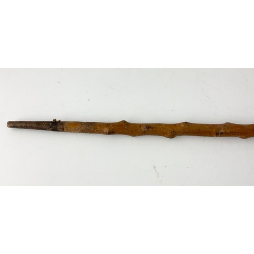 75 - UNUSUAL POSSIBLY BLACKTHORN CANE / WAND WITH HALLMARKED BIRMINGHAM SILVER 1897 TOP 61.5cm