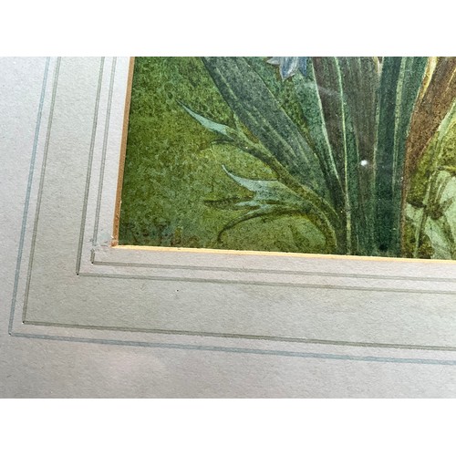 59 - PAIR OF FLORAL WATERCOLOURS AND 1 OTHER