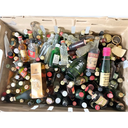 Lot 23        