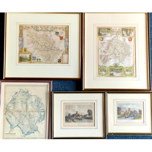 Lot 29        