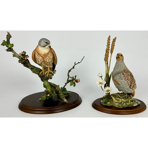 Lot 75        