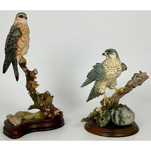 Lot 76        