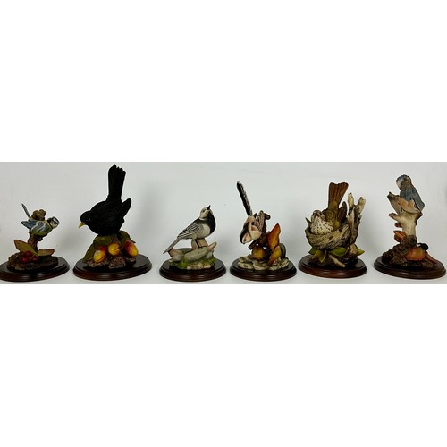Lot 78        