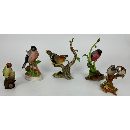 Lot 65        