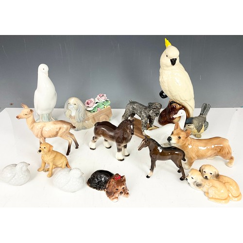 Lot 66        