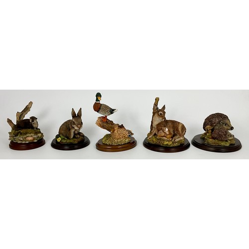 Lot 80        