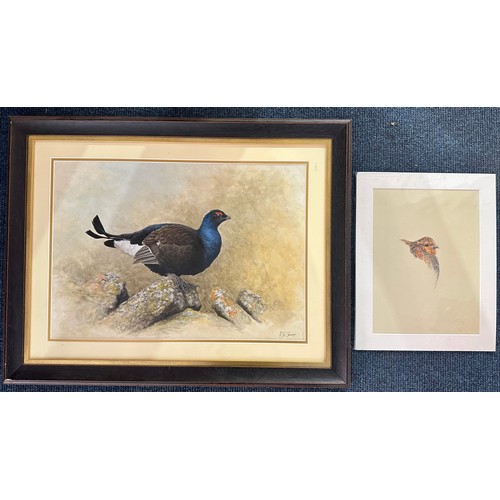 Lot 60        
