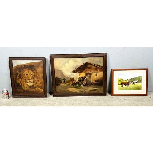 Lot 48        