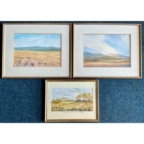 Lot 27        