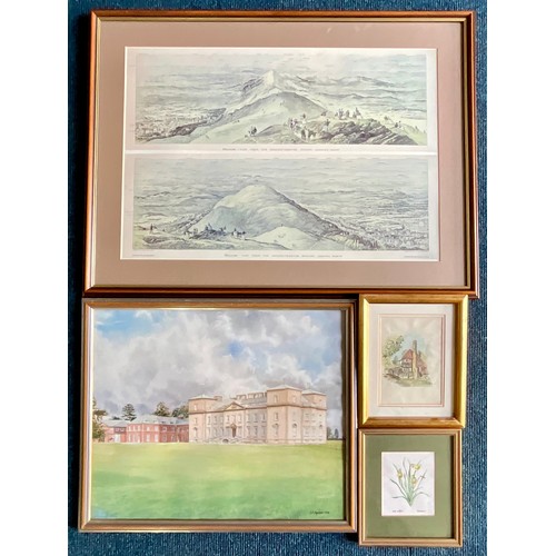 Lot 43        