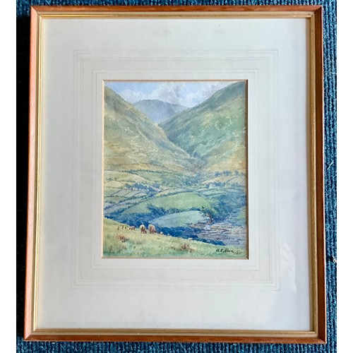Lot 34        