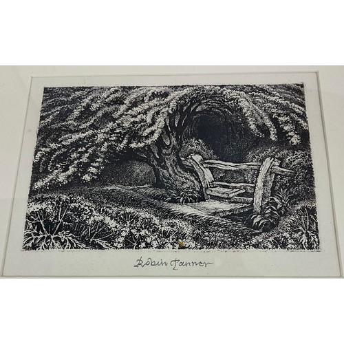 ROBIN TANNER (1904-1988) ETCHING ON PAPER, SIGNED