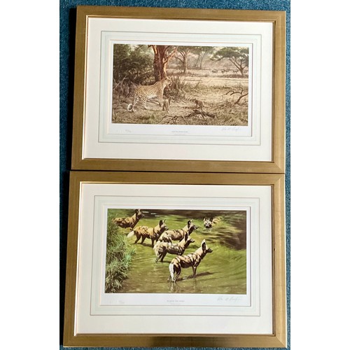 Lot 29        