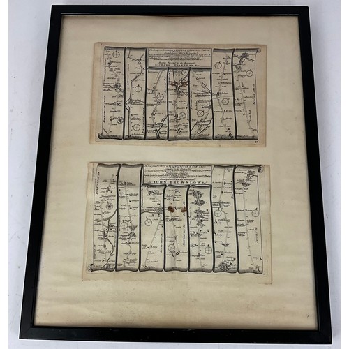 Lot 61        