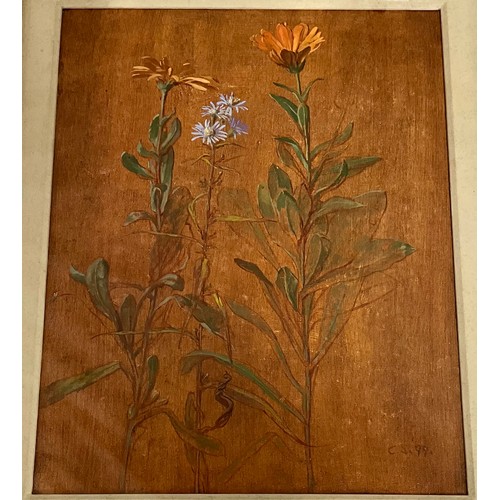 11 - CAROLYN SERGEANT (1937-2018) BRITISH, OIL ON BOARD, ‘MARIGOLDS & MICHAELMAS DAISY’, Radnorshire Fine... 