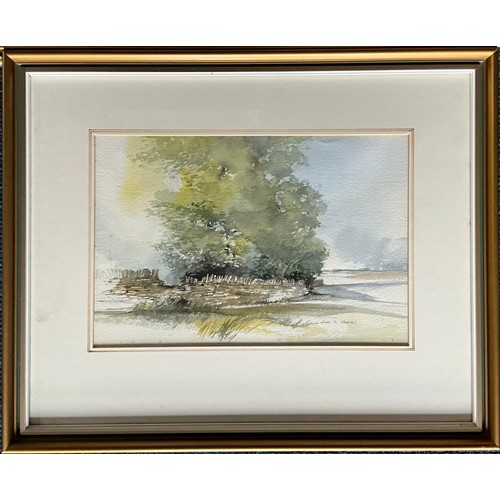 30 - JOHN R HARRIS WATERCOLOURS (LOCAL ARTIST) LARGE LANDSCAPE COPSE SCENE Approx. 62.5cm W x  37cm H AND... 