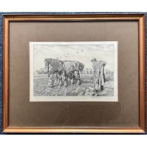 Lot 40        
