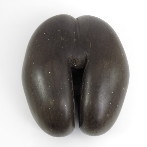63 - A COCO DE MER NUT (LODOICEA MALDIVICA), approx. 26 x 21 cm