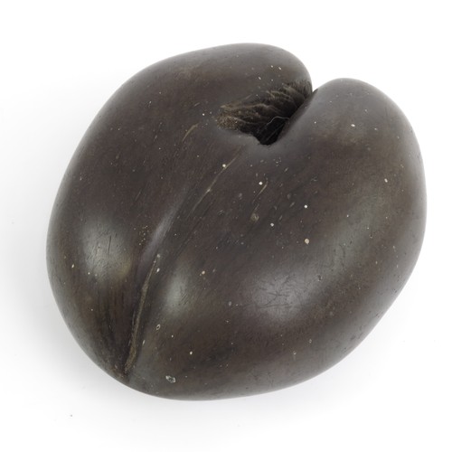 63 - A COCO DE MER NUT (LODOICEA MALDIVICA), approx. 26 x 21 cm