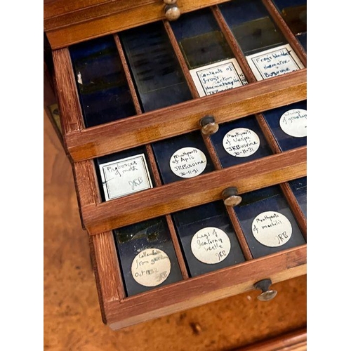 113 - A Victorian mahogany microscope slide cabinet with brass handles and glazed door opening to eighteen... 