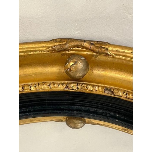 254 - A Regency convex gilt wood wall mirror