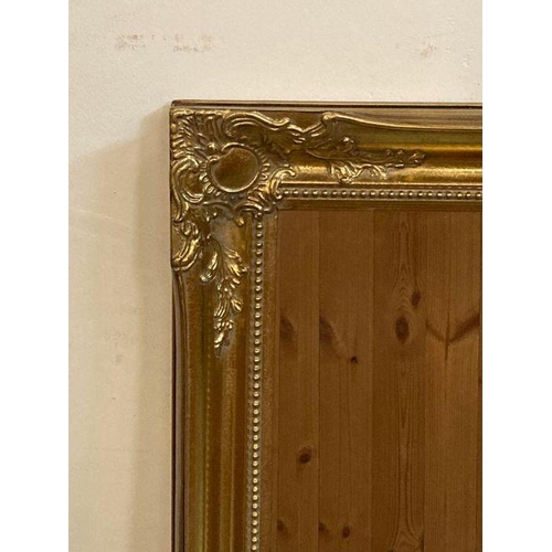 256 - A pair of wooden gold painted hall mirrors