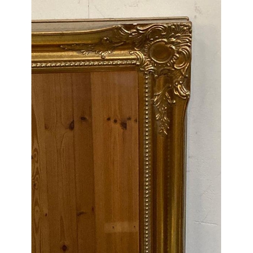 256 - A pair of wooden gold painted hall mirrors