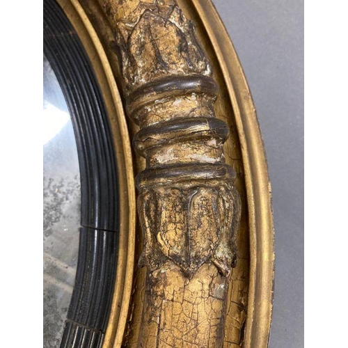 261 - A Regency oval convex mirror in an gilt frame with reclining deer, with silvered finish in original ... 